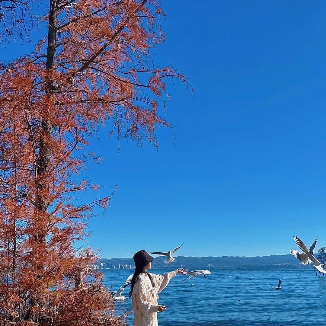湖湖老师