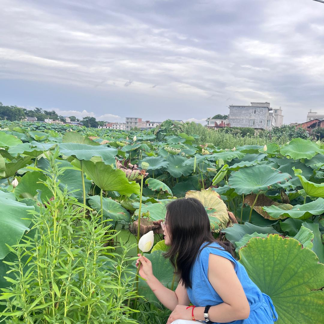豆豆。