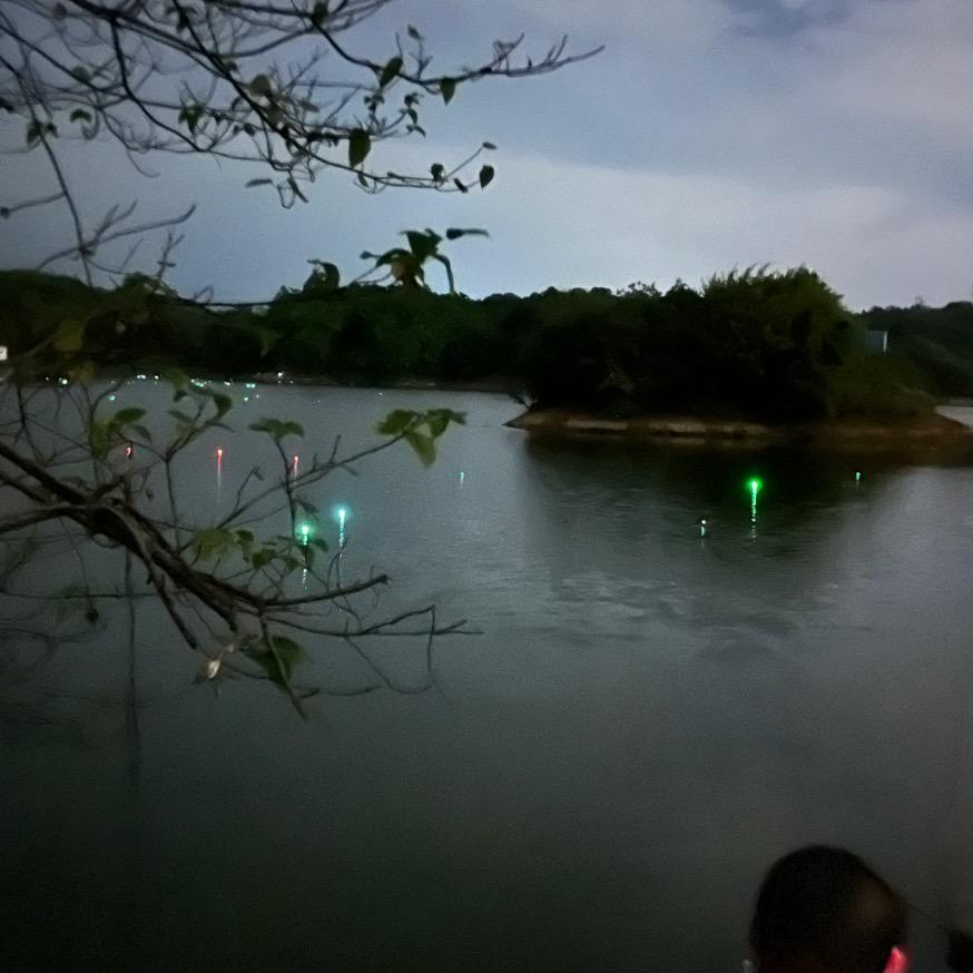 明天过后