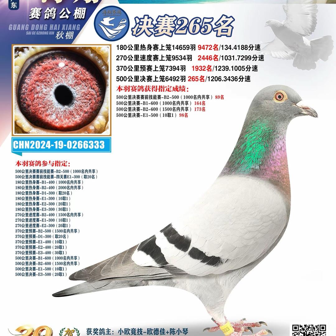 小欧竞技