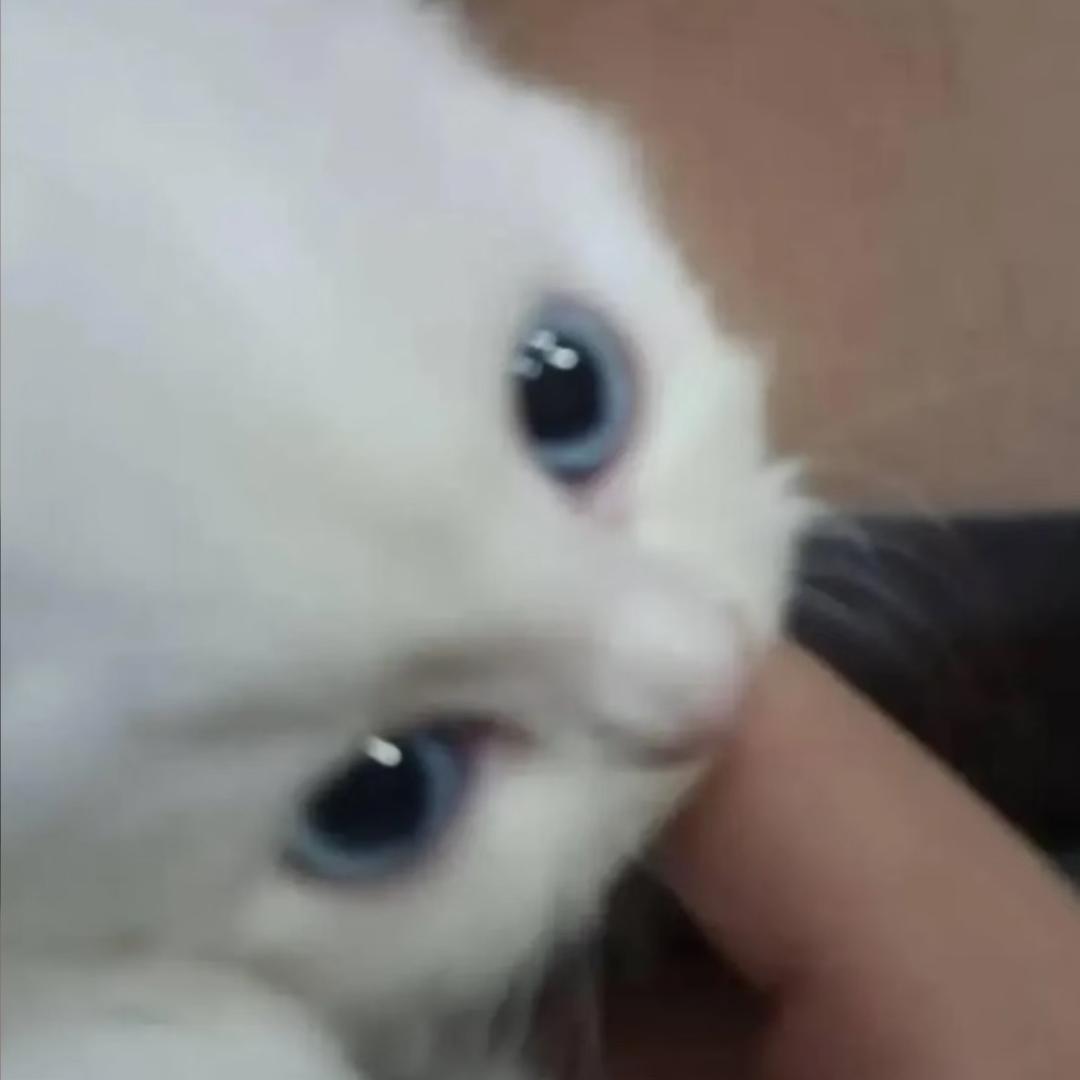 别哭