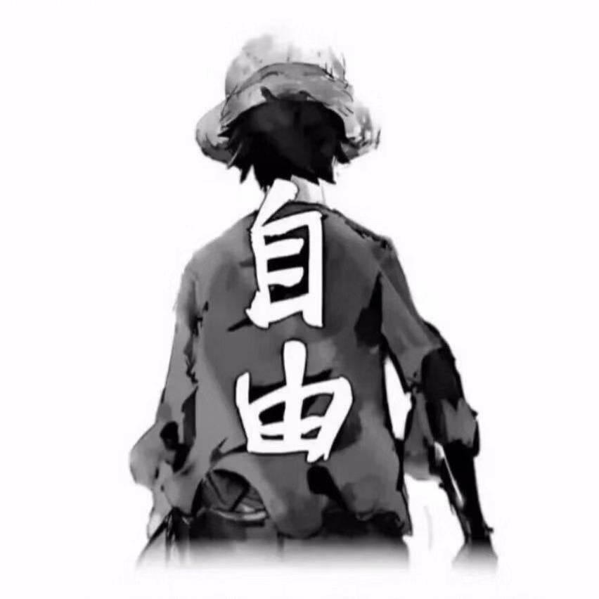 A0杨小哥