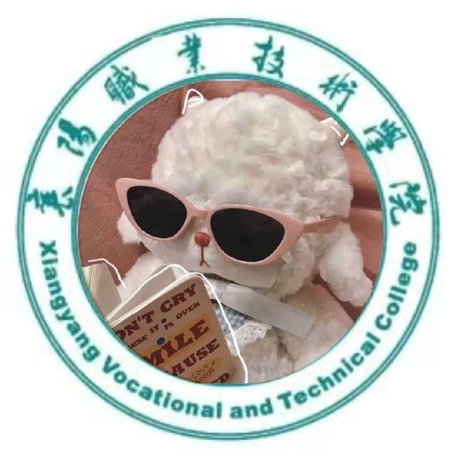 襄阳职业技术学院校园墙