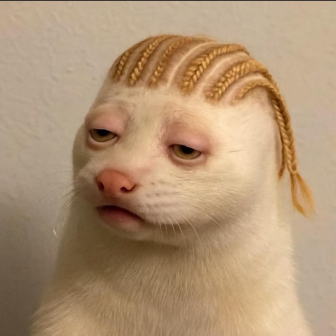 小胖别吃