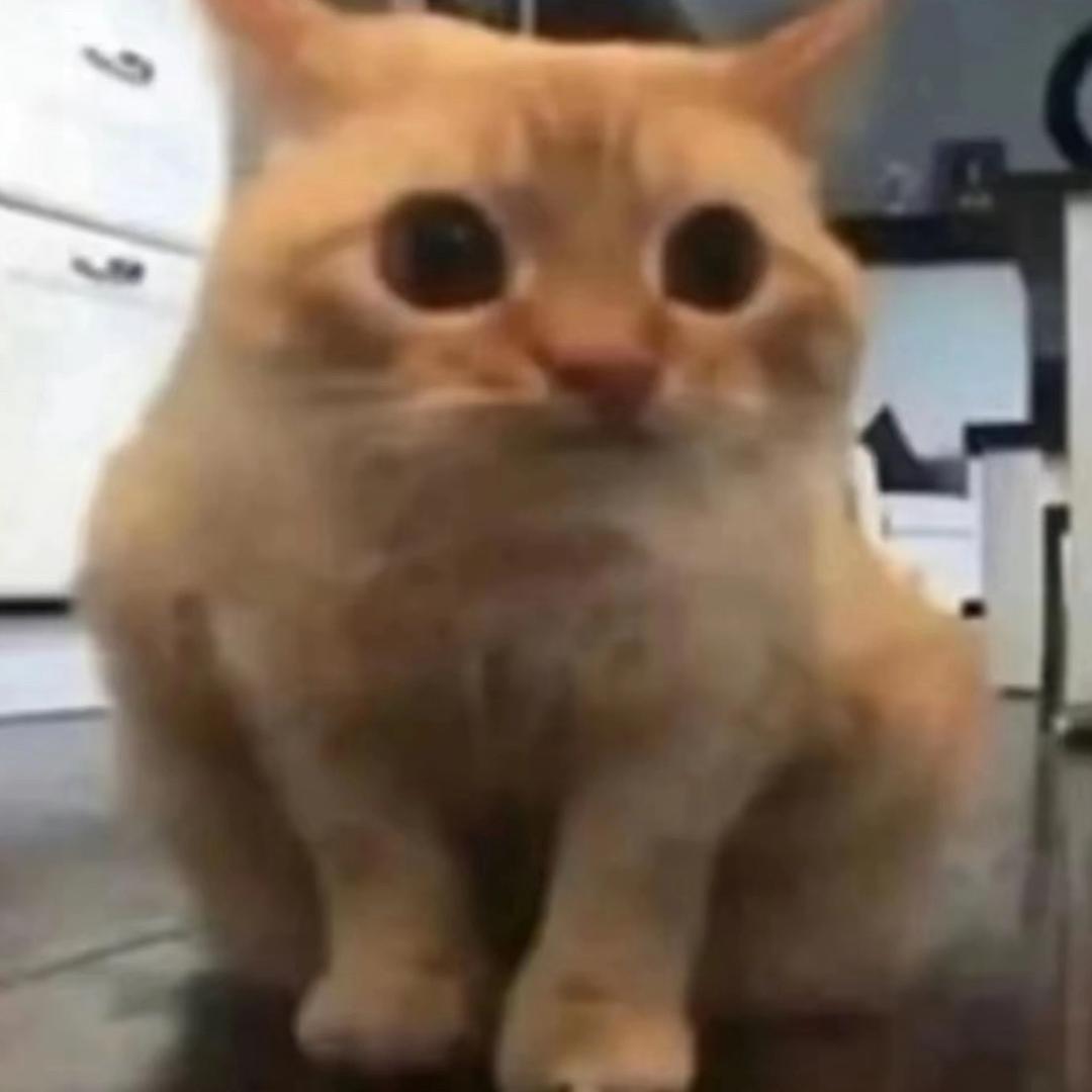 道上的都叫我杨枝甘潞大王