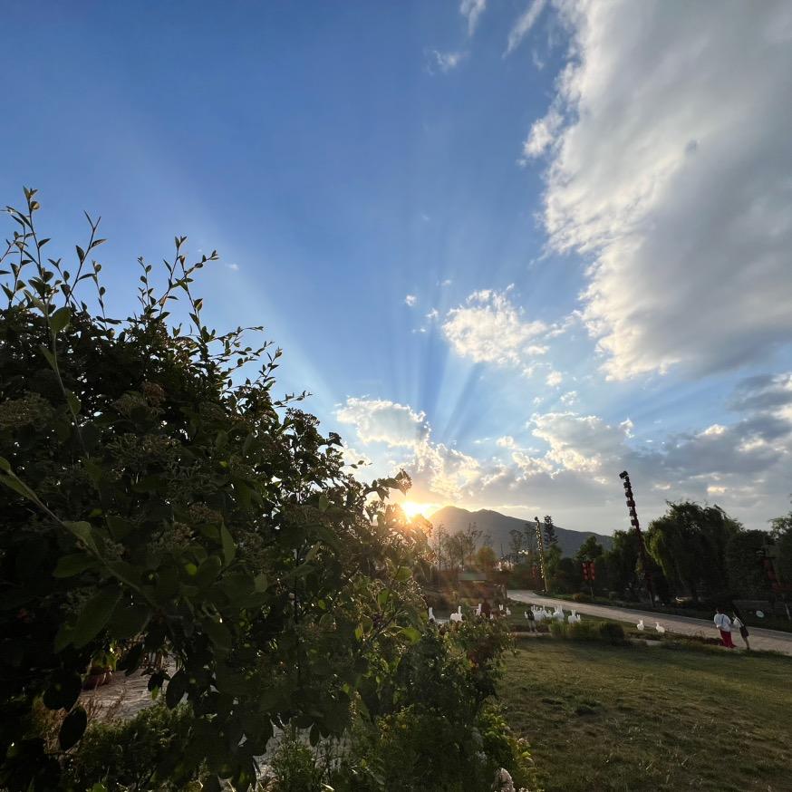 @晴天☀️