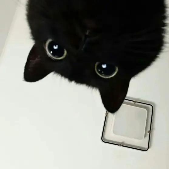 7️⃣7️⃣𝙞𝙪𝙠𝙤𝙞小跟班