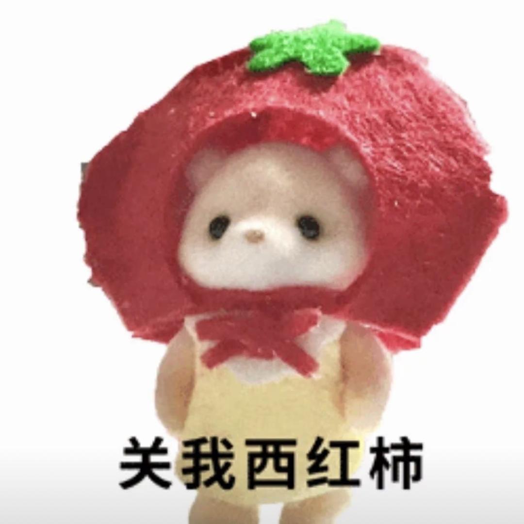 ՞･˕･՞