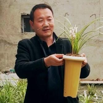 种兰花的老武