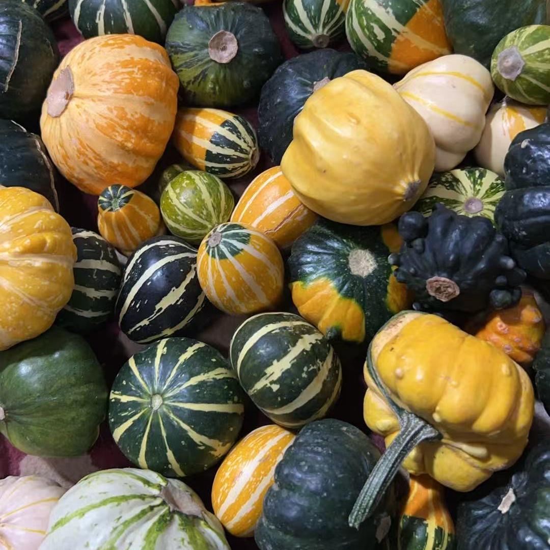 谛琳阁工艺品店