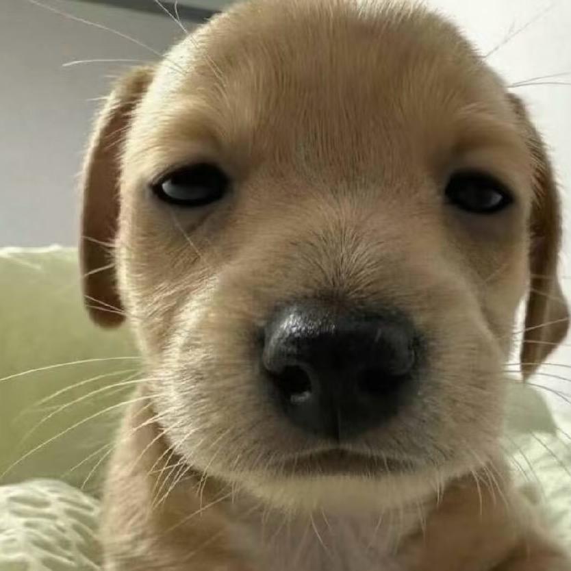 😧