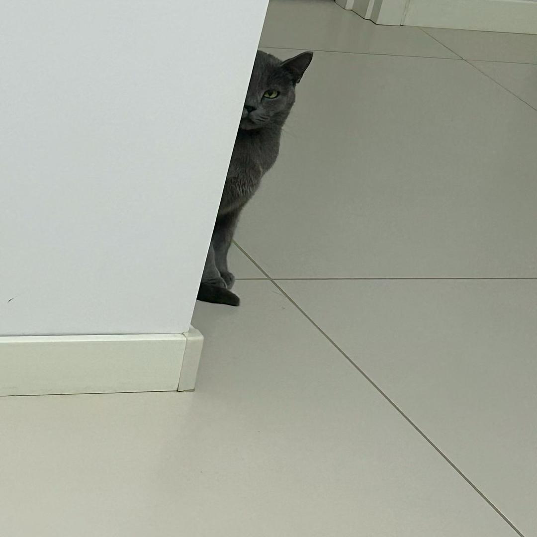 灰灰日常专属号。