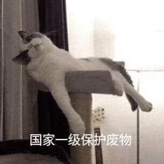 兄弟说我开新号是为了只给他送礼