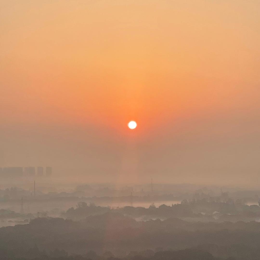 “羊了个狼”
