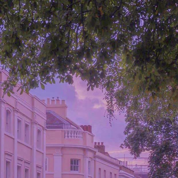 小龙女(｢･ω･)｢