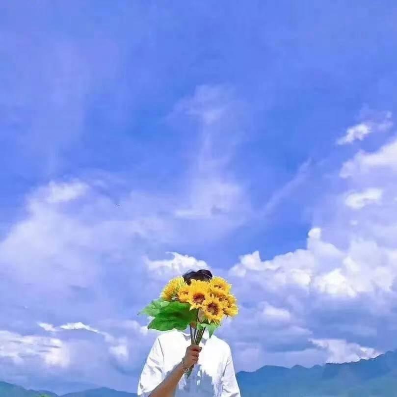 番茄牛腩没有牛腩