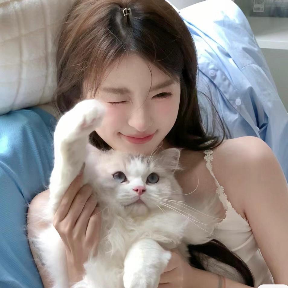 派大星＆