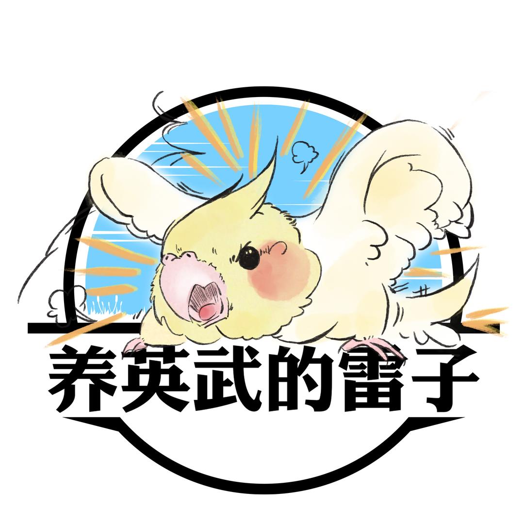 养英武的雷子
