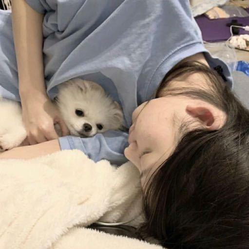 hello小小依
