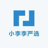 小李李严选
