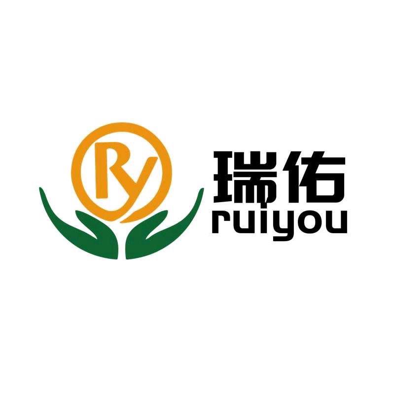西安瑞佑陪同
