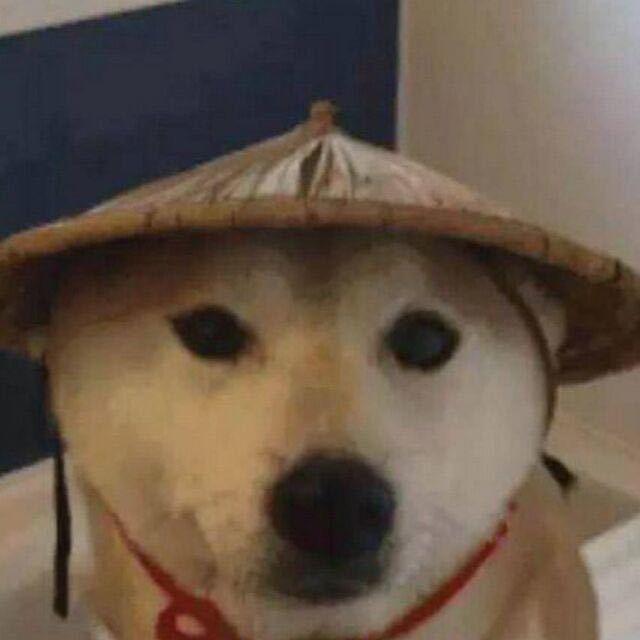 神奇草帽yu