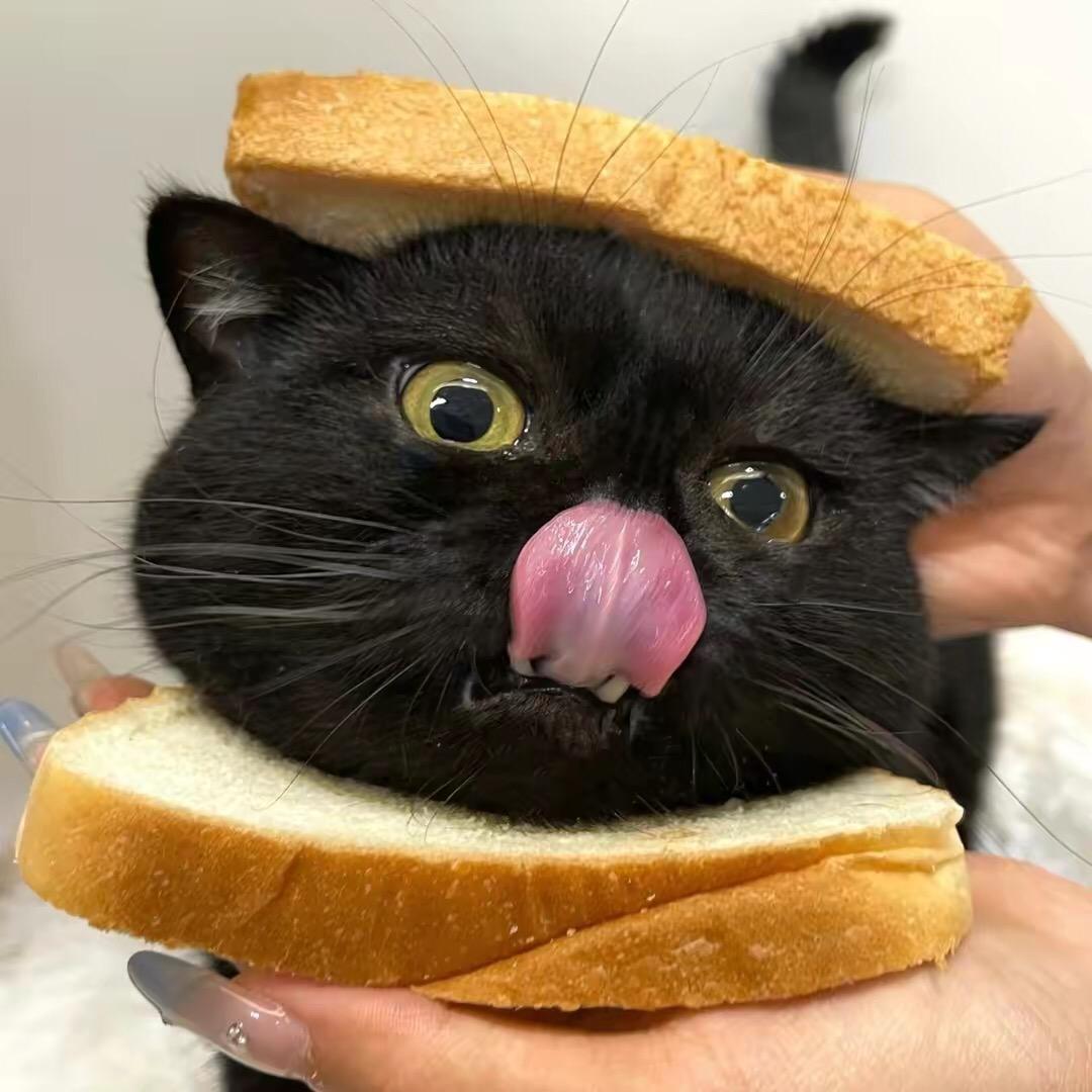昧昧