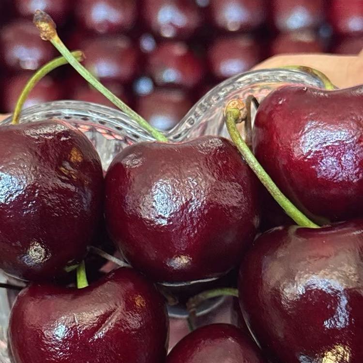 车厘子来了🍒🍒