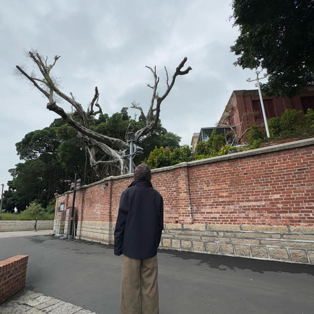 小张爱吃饭呀🍲