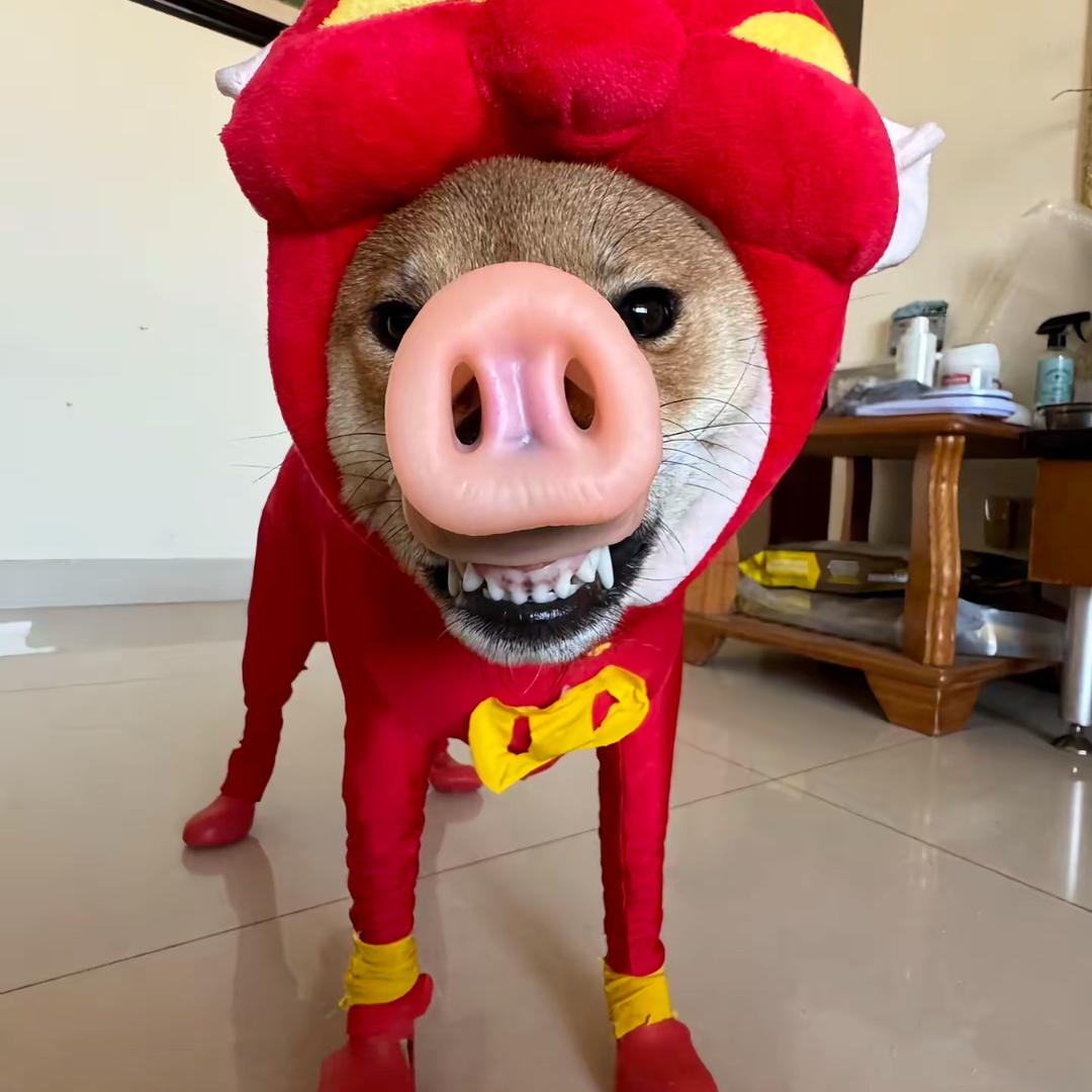 万九冷冻食品批发零售