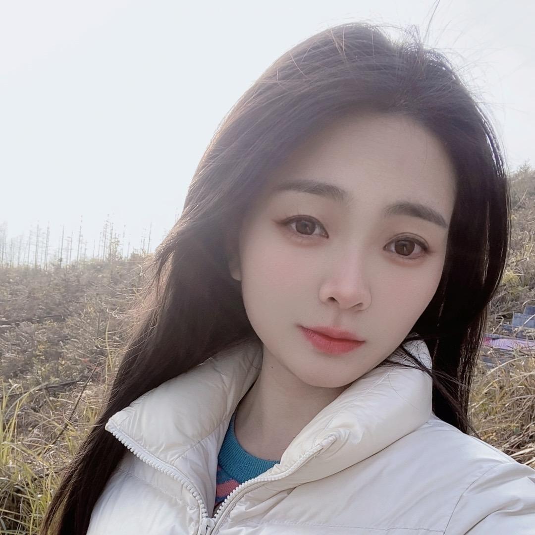 美丽的海燕