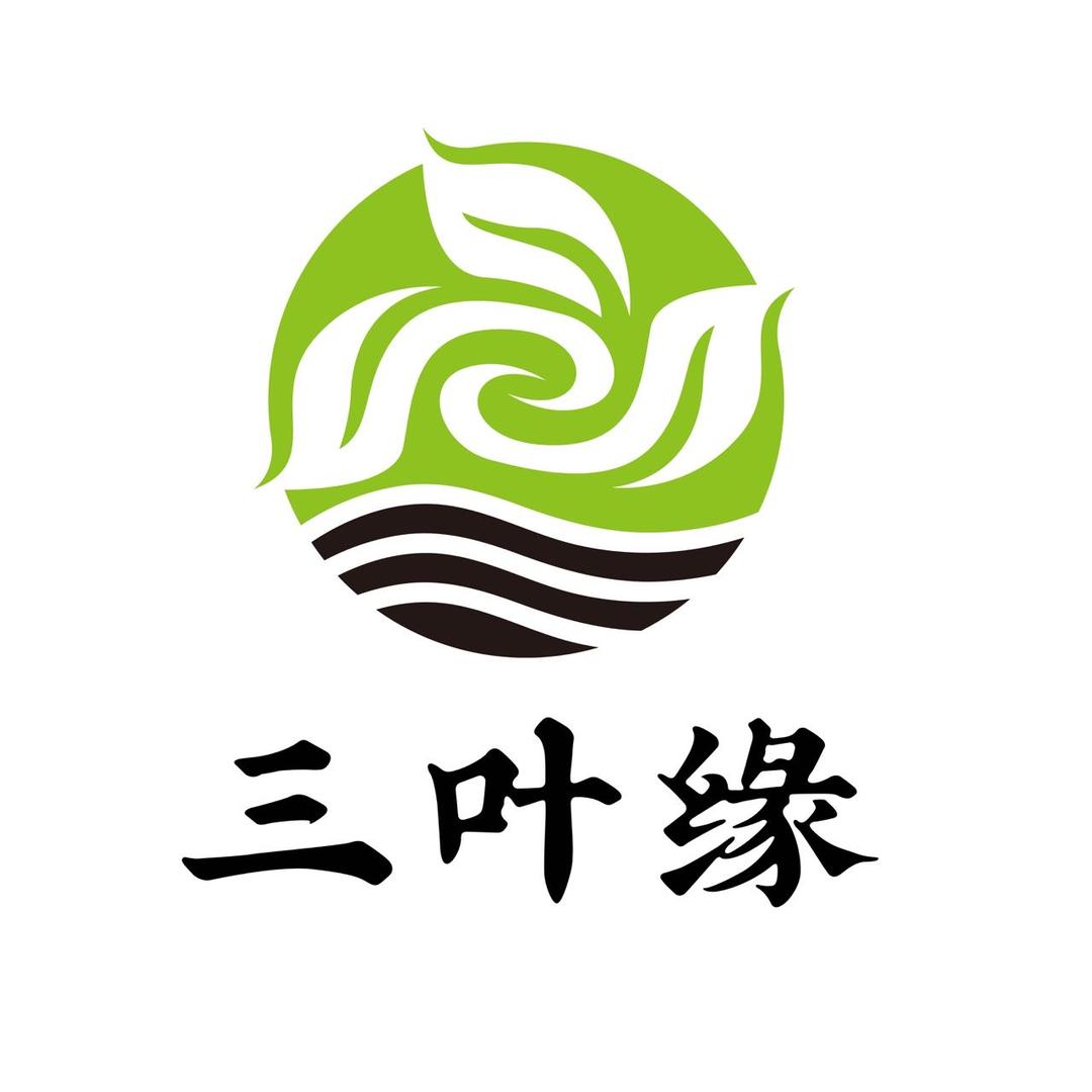 三叶缘 单丛茶杨晓