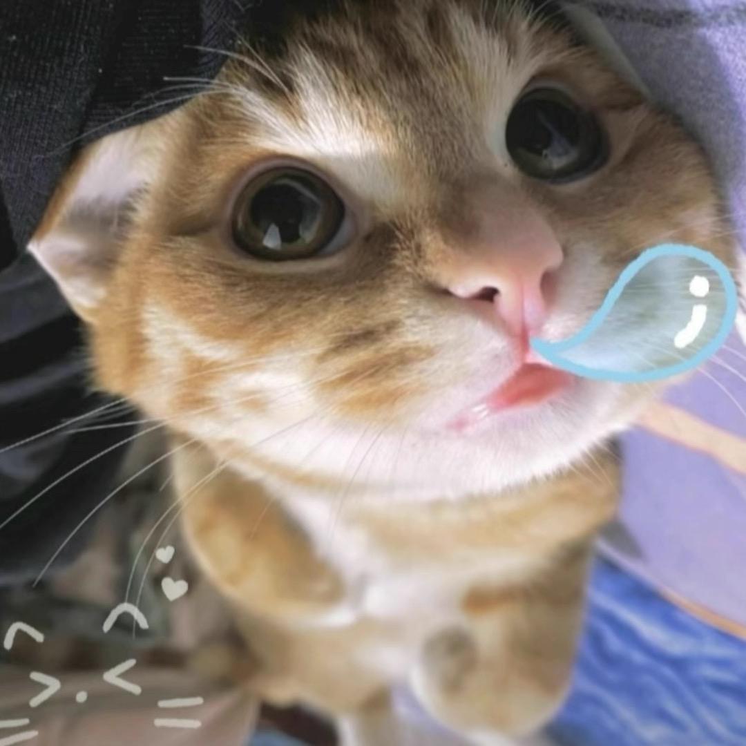 Viki欣欣