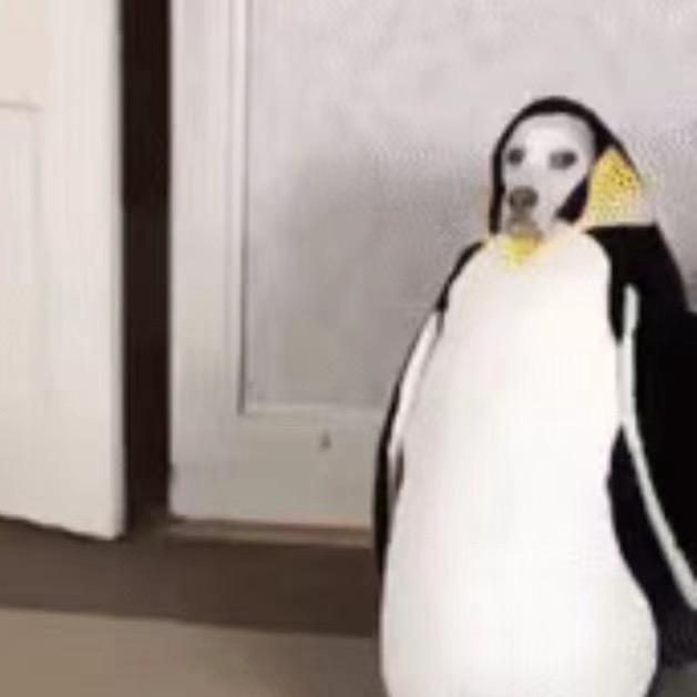 幸福鹅子