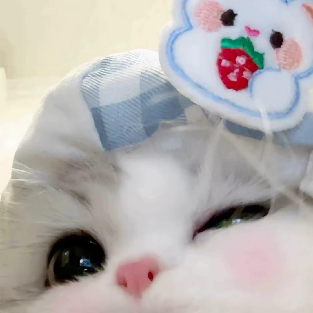 叉叉