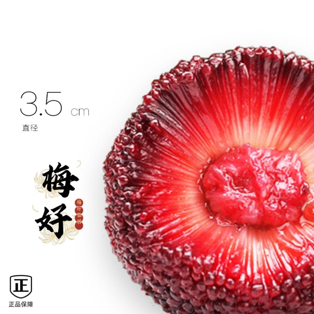梅好仙居（仙居杨梅）