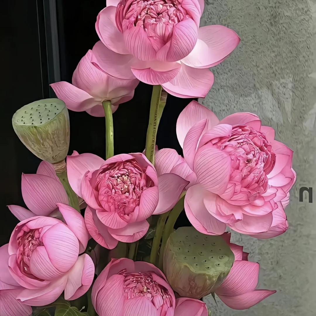 晓辉小铺1