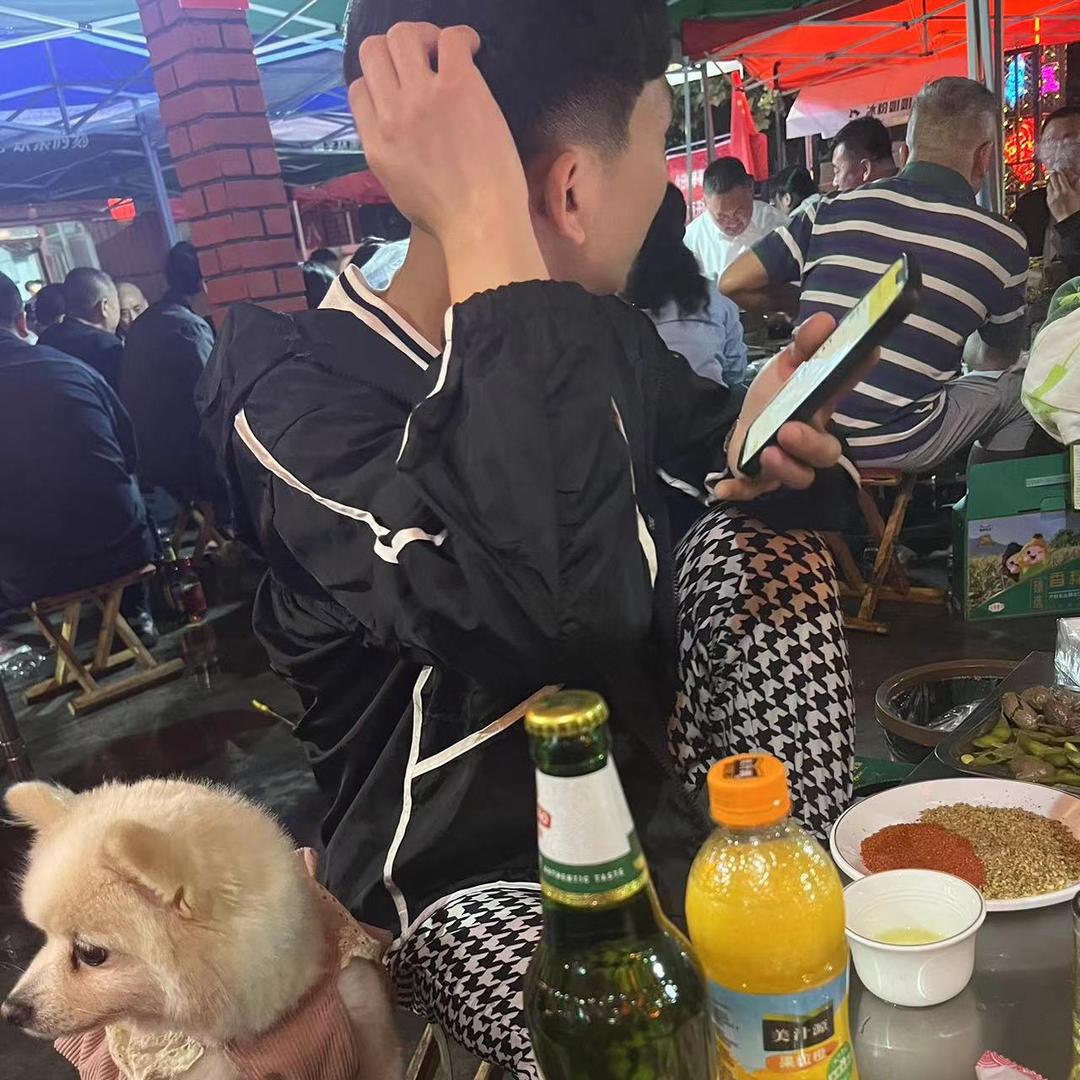 呆橘