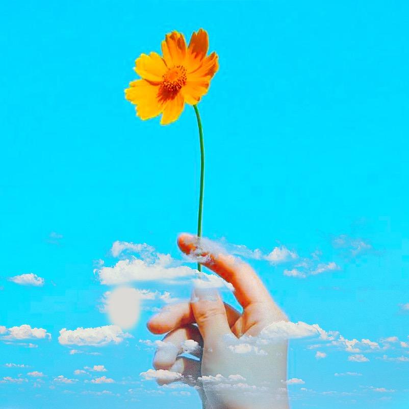 一半烟火V