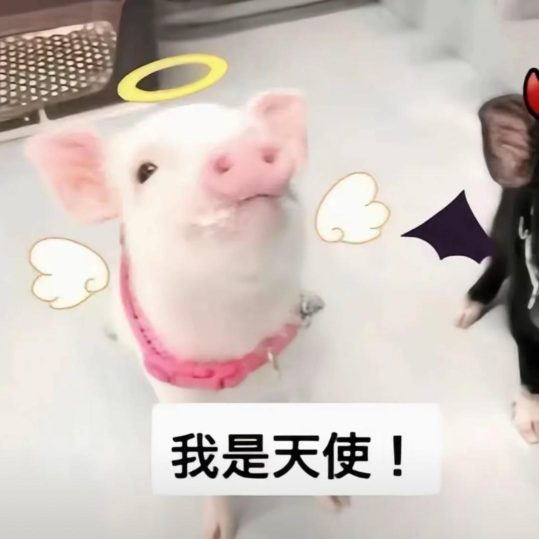 小腿毛别逗我笑了