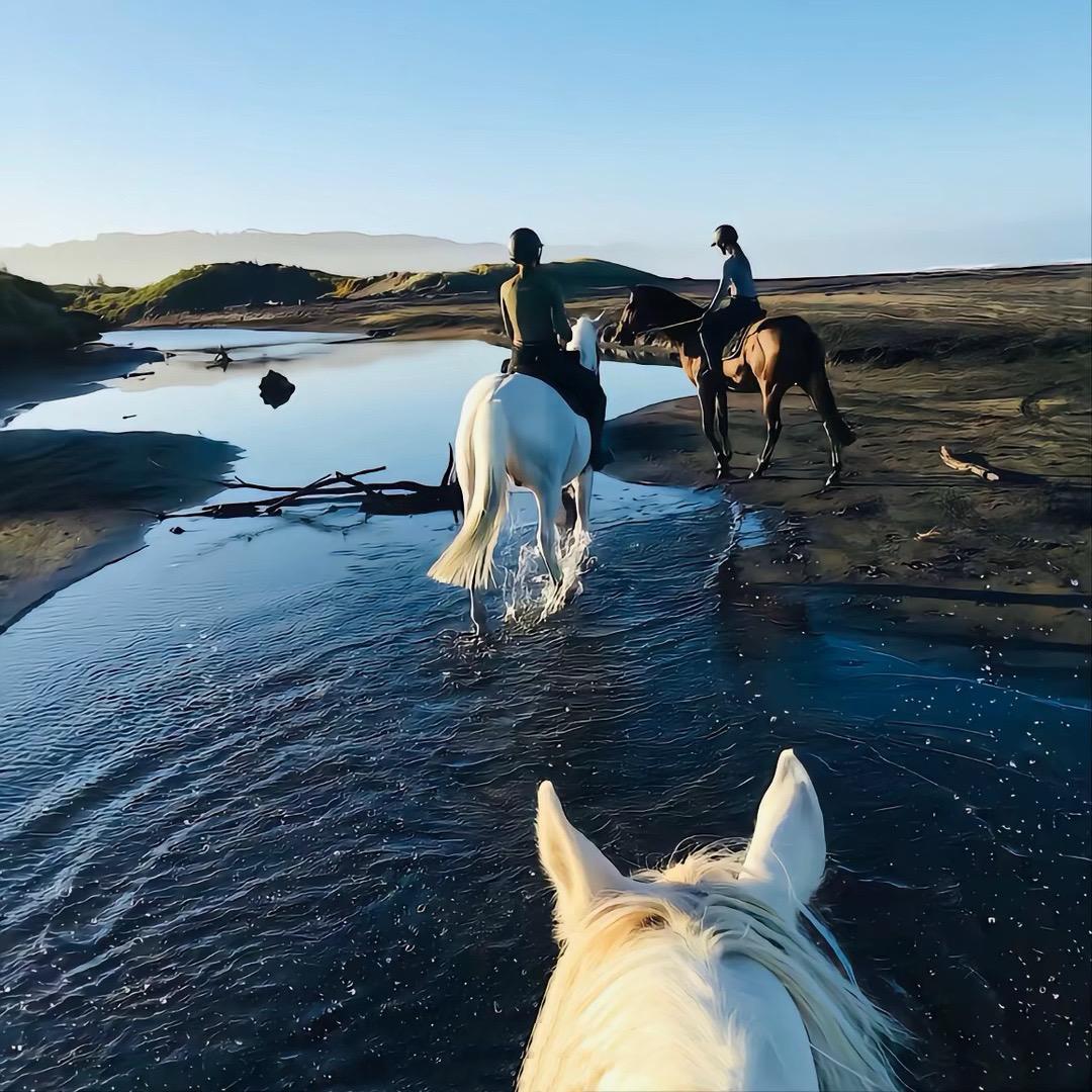 不当悲观主义者