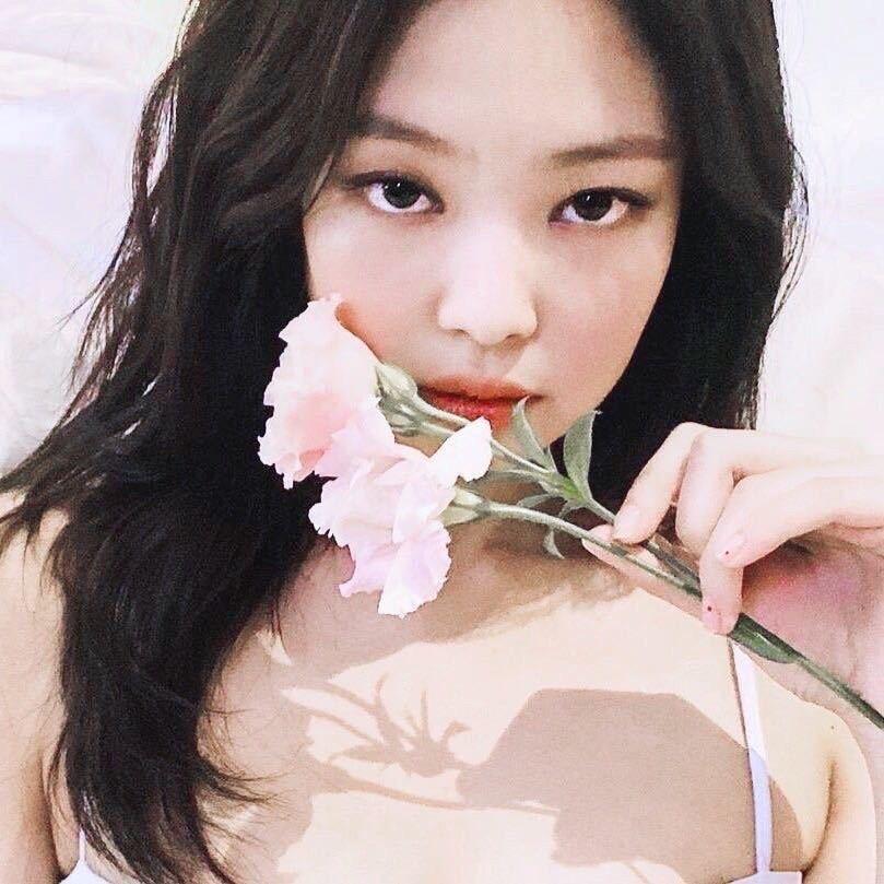 欧洲肥美性感大蟑螂🪳