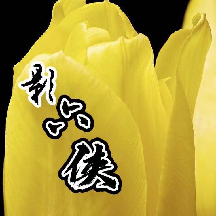 影六侠