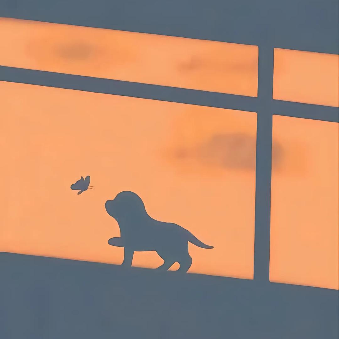 一个不正经的养狗人