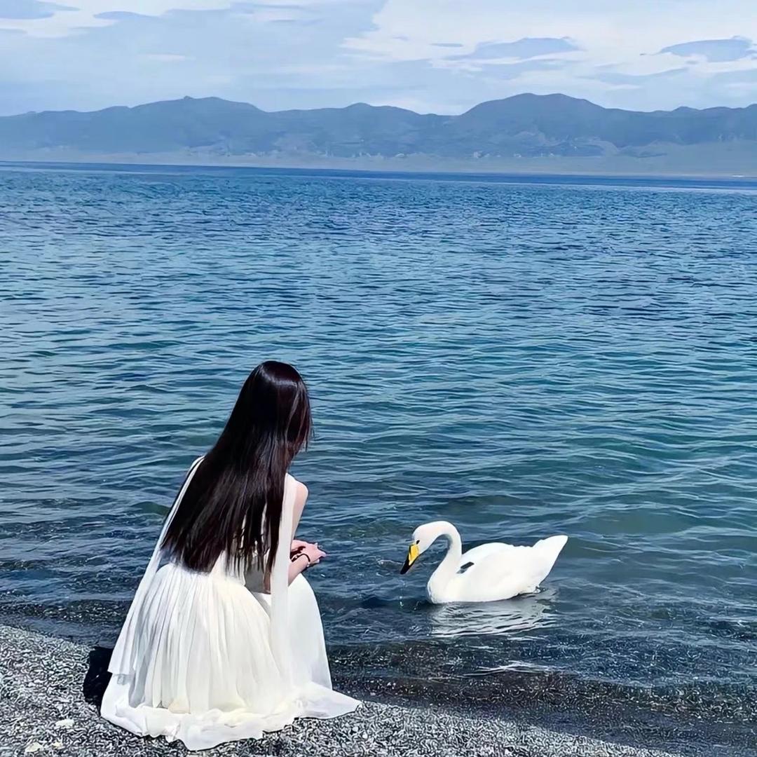 与莉