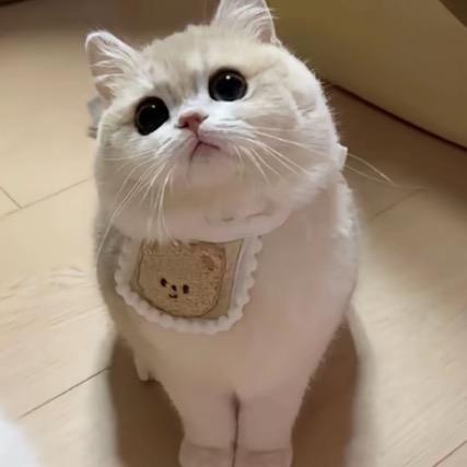 、？