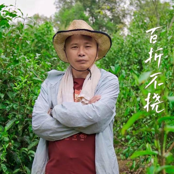 吉盛祥茶叶【老李】