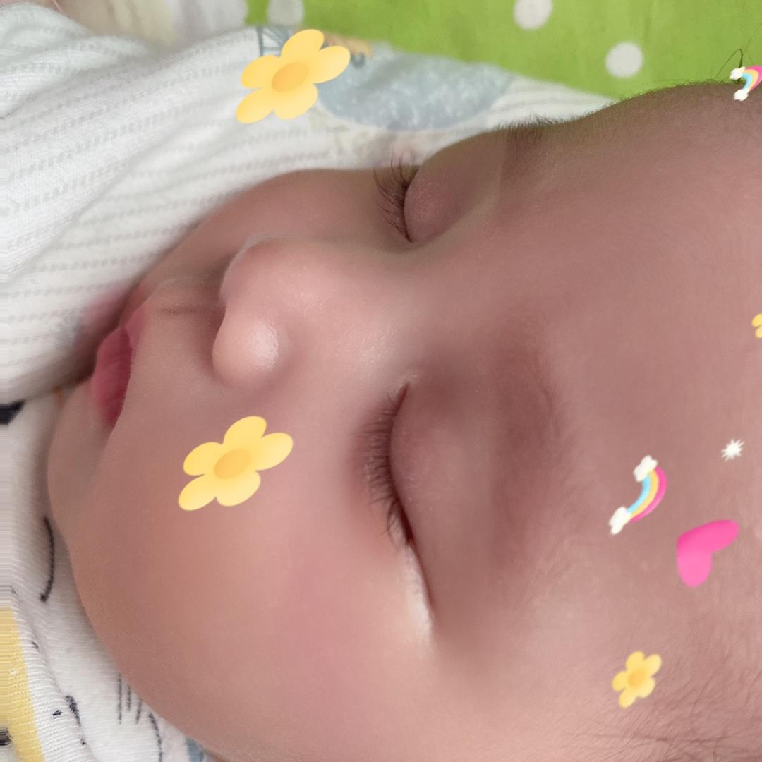 教游泳的青蛙教练