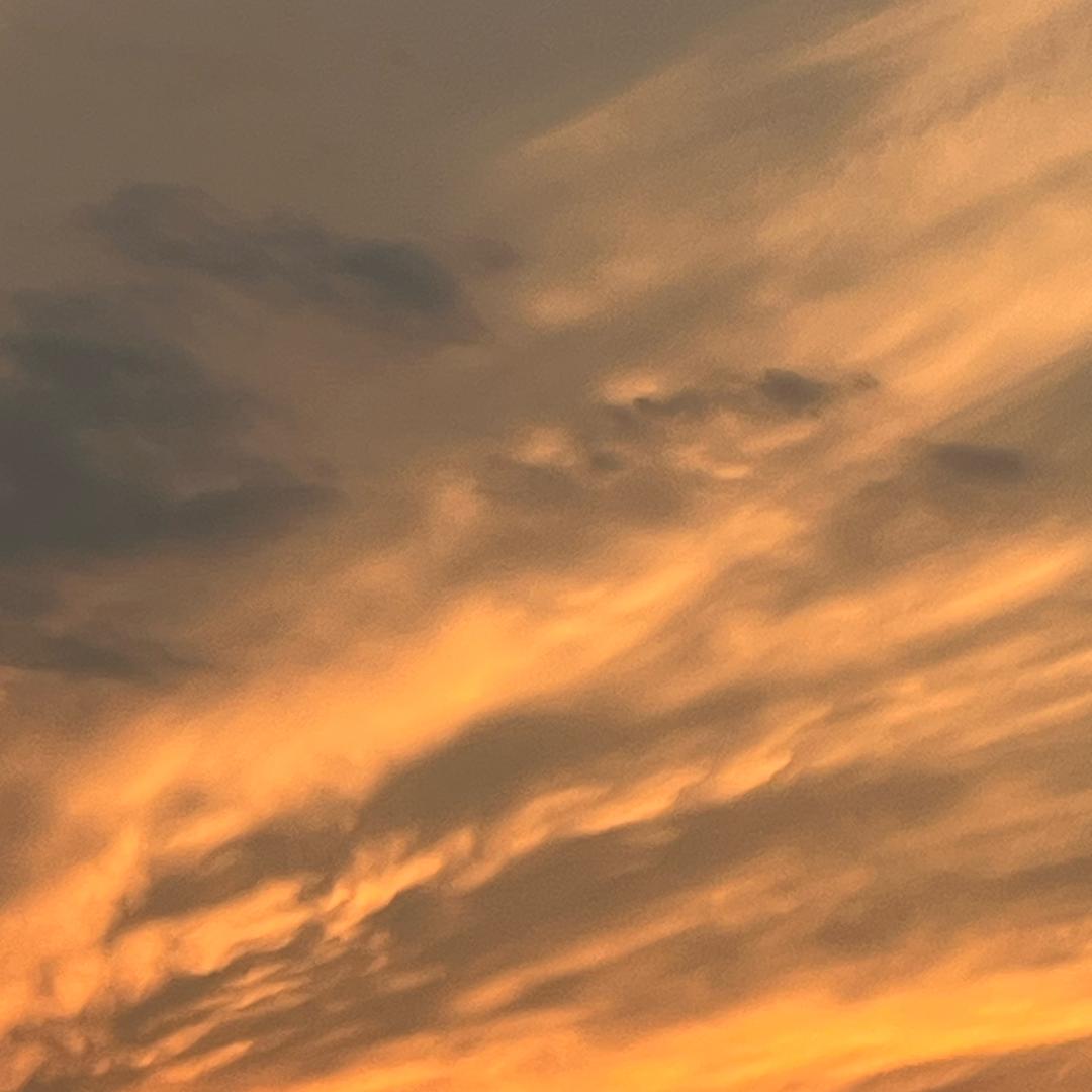 京都一家四口🧑‍🧑‍🧒‍🧒