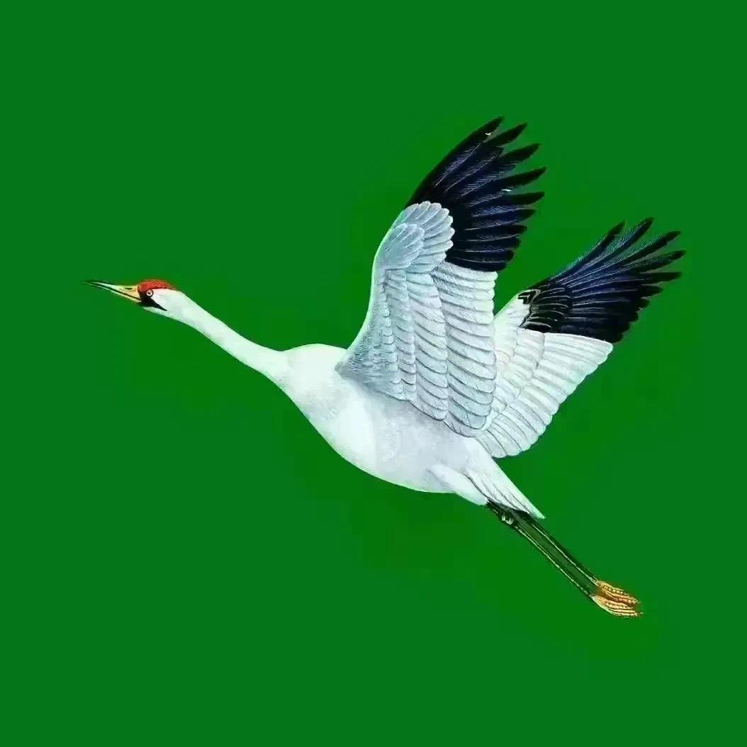埠旯的痞忑